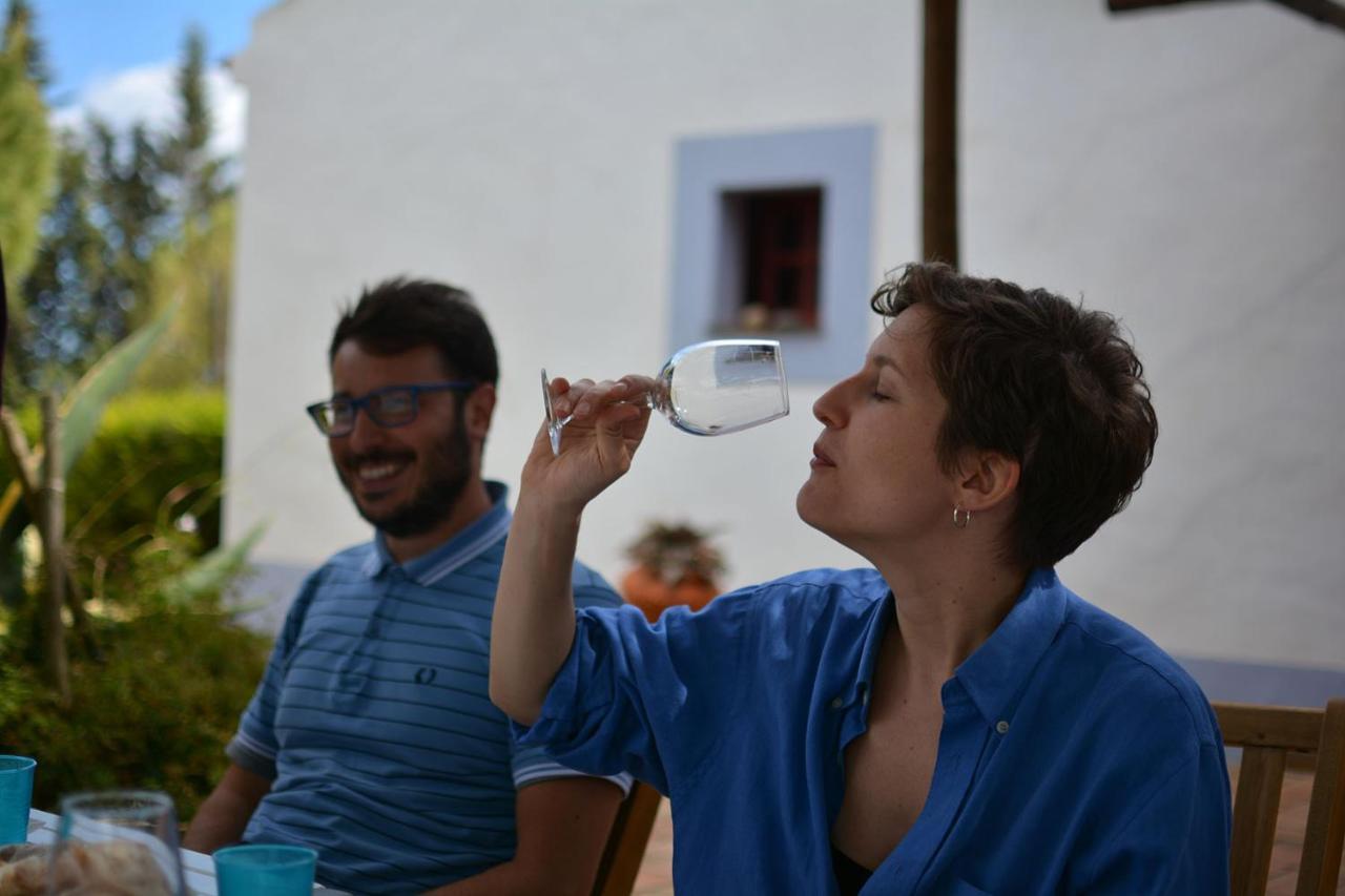 Casas Na Vinha - Monte Da Casteleja, Wine Estate - Eco Alojamento de Turismo Rural Lagos