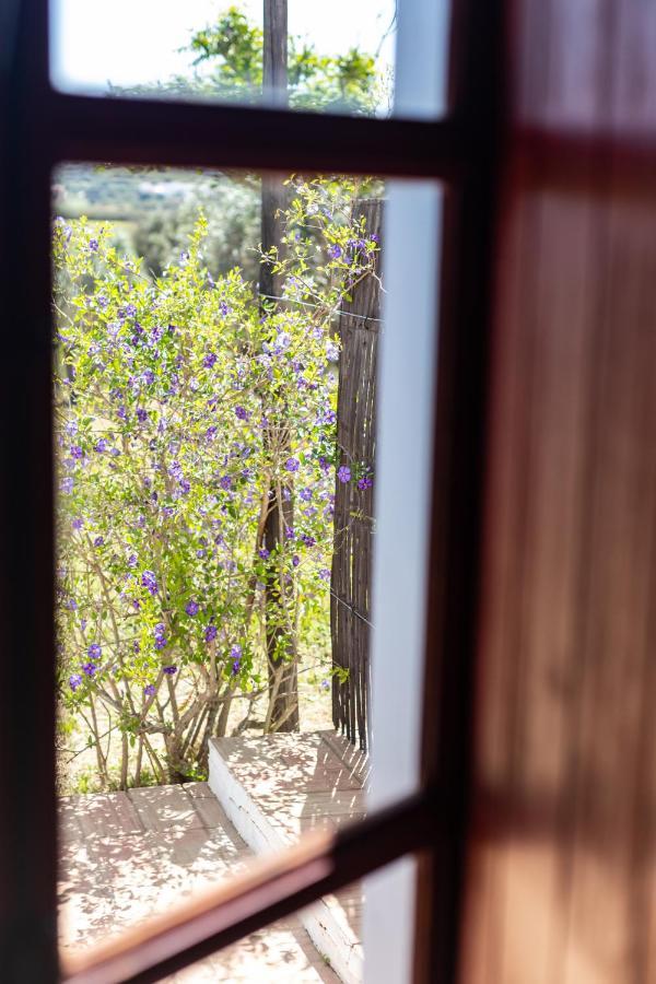Casas Na Vinha - Monte Da Casteleja, Wine Estate - Eco Alojamento de Turismo Rural