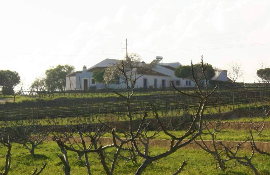 Alojamento de Turismo Rural Casas Na Vinha - Monte Da Casteleja, Wine Estate - Eco *
