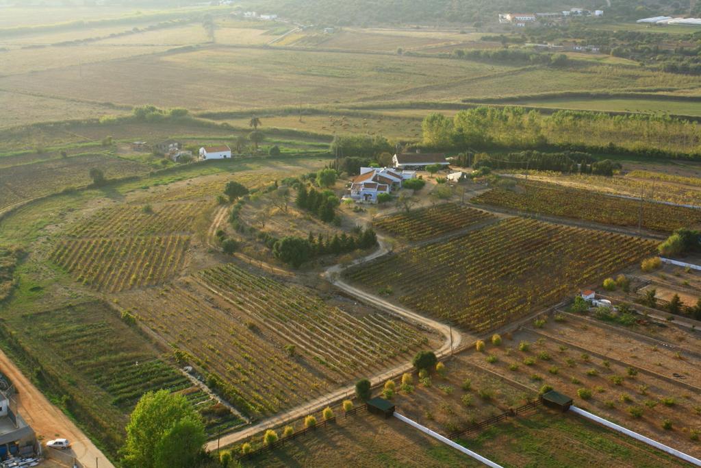 Casas Na Vinha - Monte Da Casteleja, Wine Estate - Eco Agroturismo Lagos